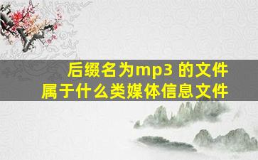 后缀名为mp3 的文件属于什么类媒体信息文件